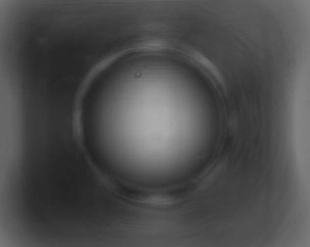 X0000101401464200807071208
