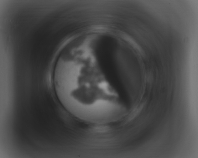X0000101401466200807071208