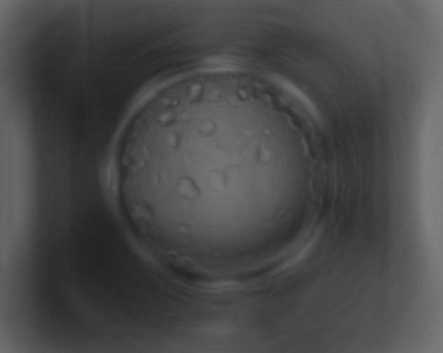X0000101401467200807071208
