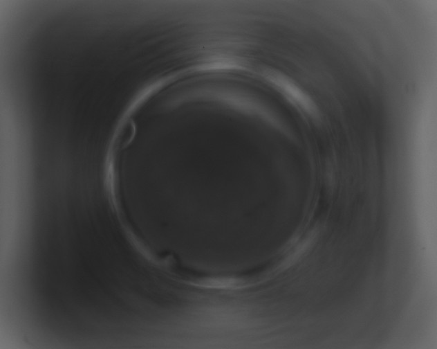 X0000101401468200807071208