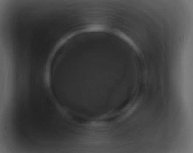 X0000101401469200807071208
