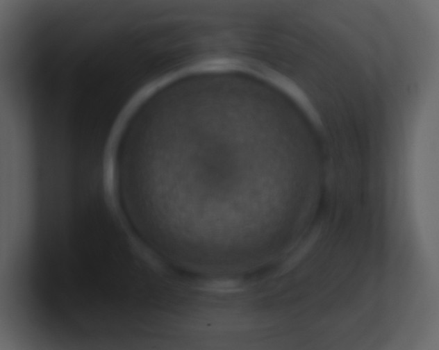 X0000101401472200807071208