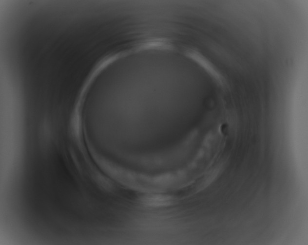 X0000101401474200807071208