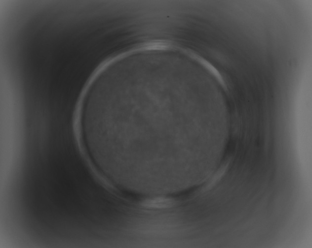X0000101401475200807071208