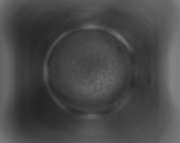 X0000101401476200807071208
