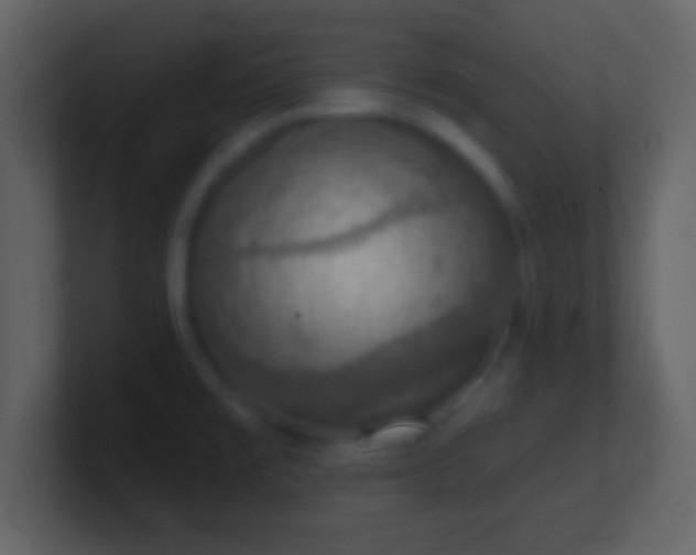 X0000101401477200807071208