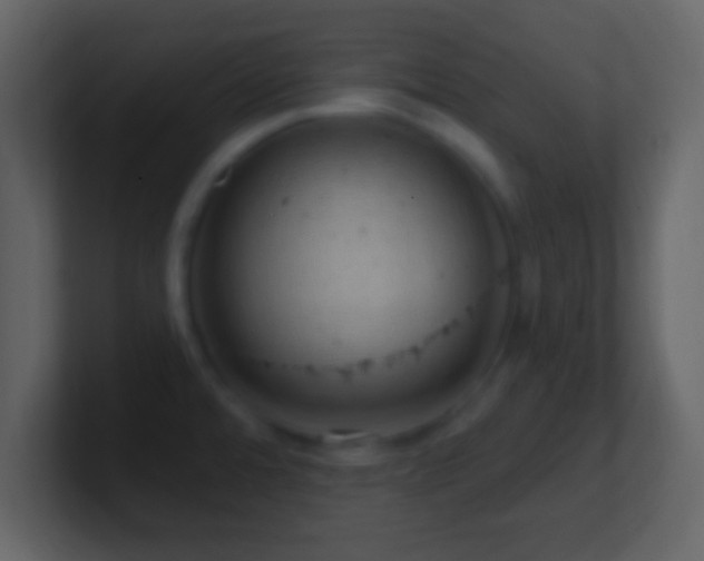 X0000101401480200807071208