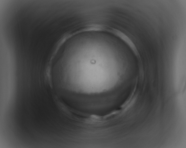 X0000101401481200807071208