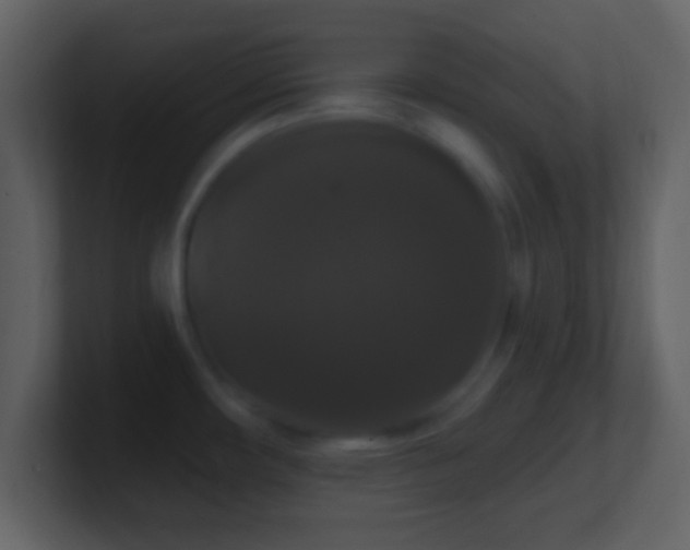 X0000101401482200807071208