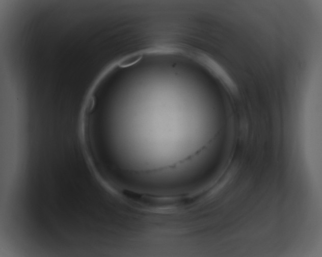 X0000101401484200807071208