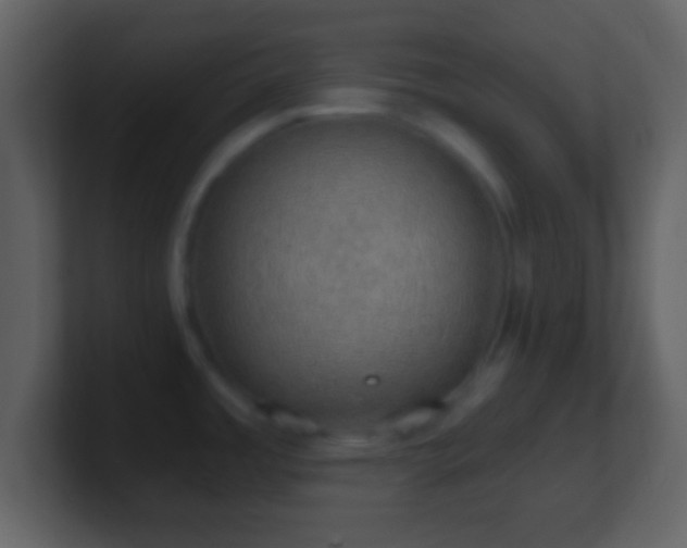 X0000101401485200807071208