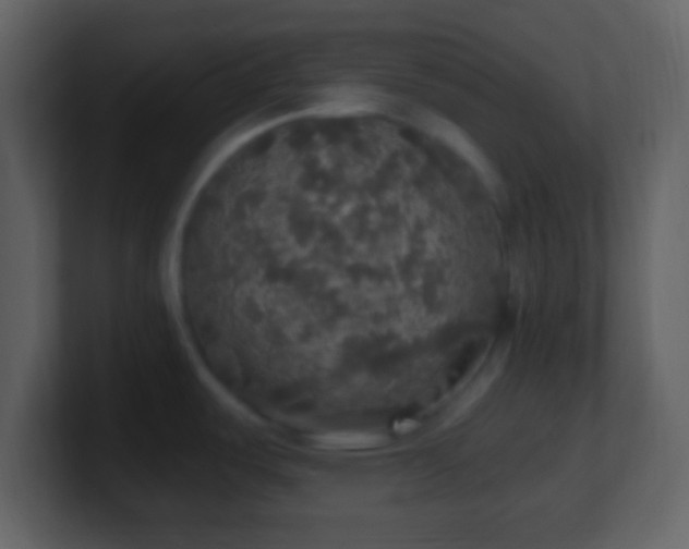 X0000101401487200807071208