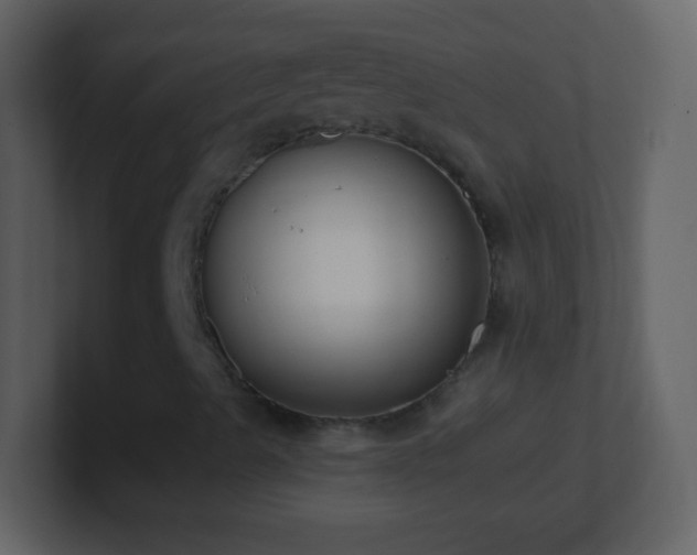 X0000101401489200807071207