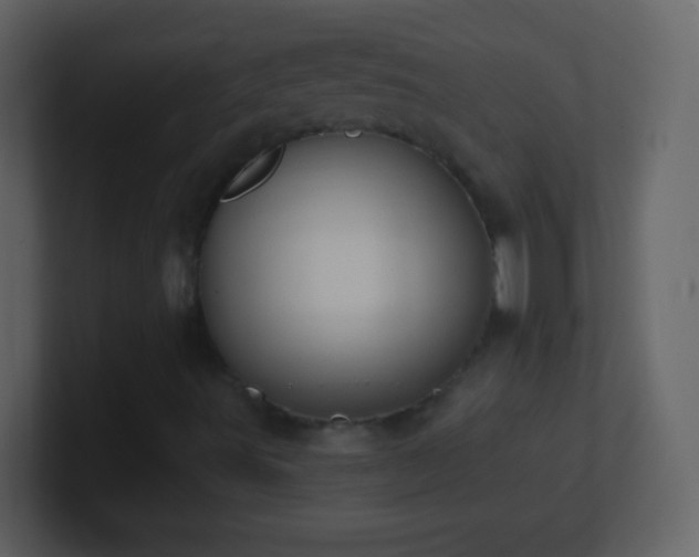 X0000101401491200807071207