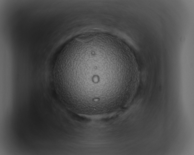 X0000101401496200807071207