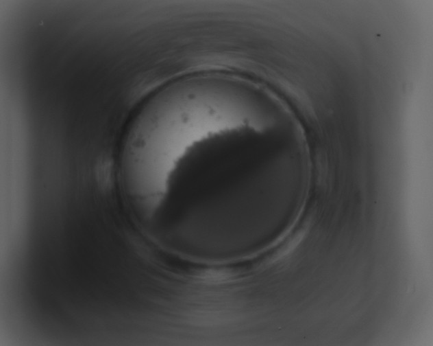 X0000101401497200807071207