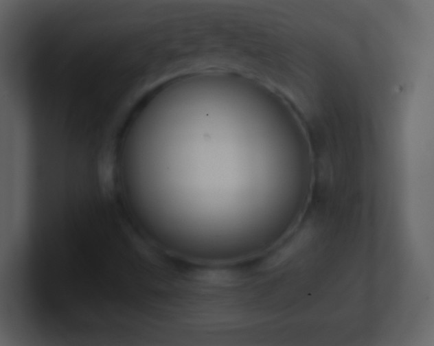 X0000101401499200807071207