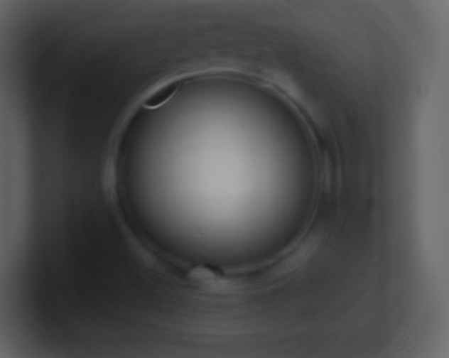 X0000101401500200807071207