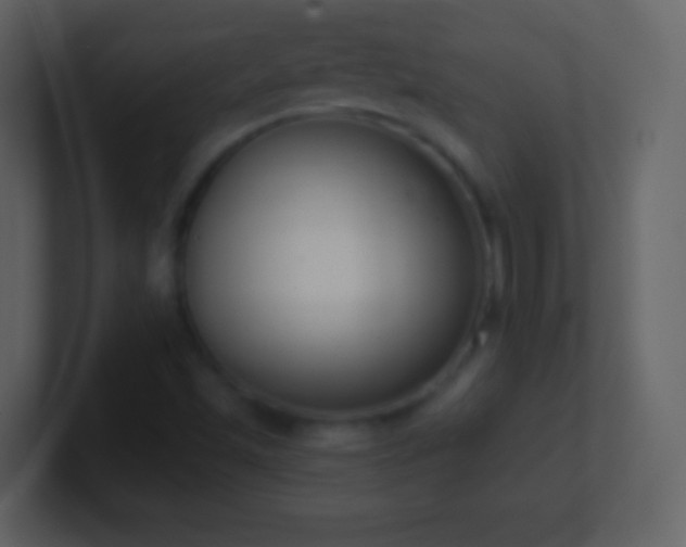 X0000101401501200807071207