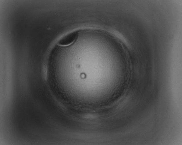 X0000101401504200807071207
