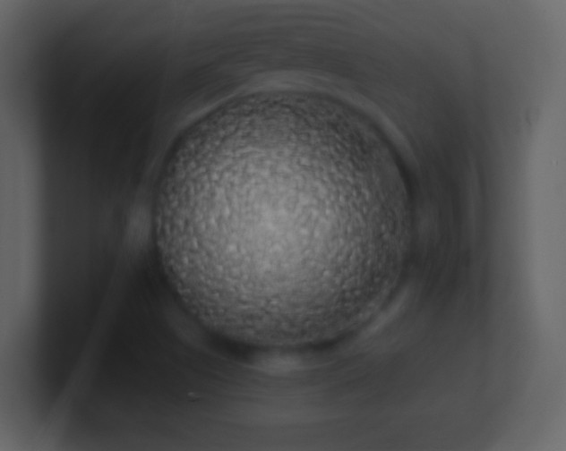 X0000101401505200807071207