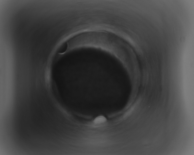 X0000101401506200807071207