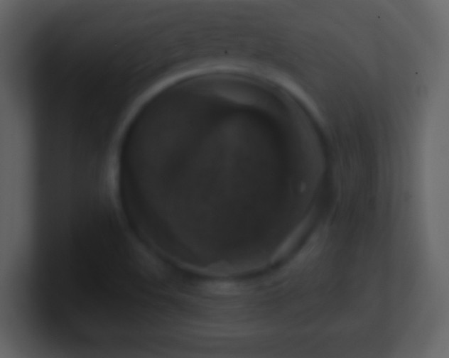 X0000101401508200807071207