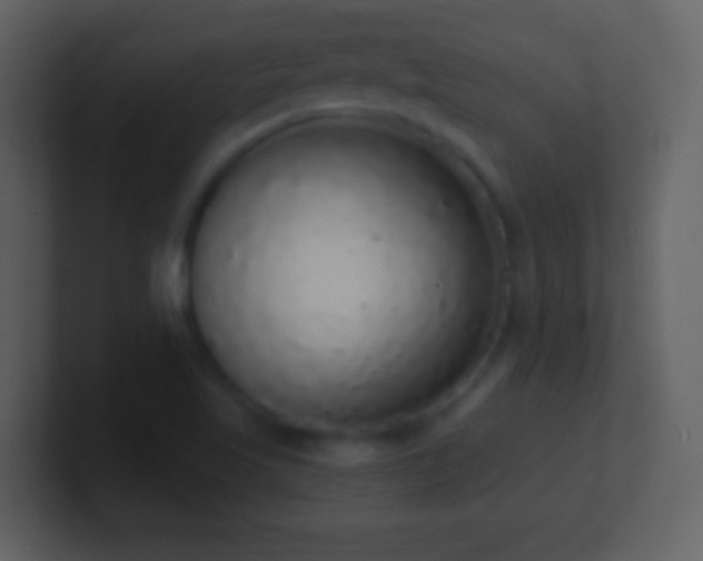 X0000101401509200807071207