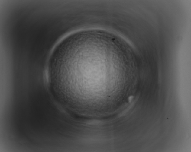 X0000101401510200807071207