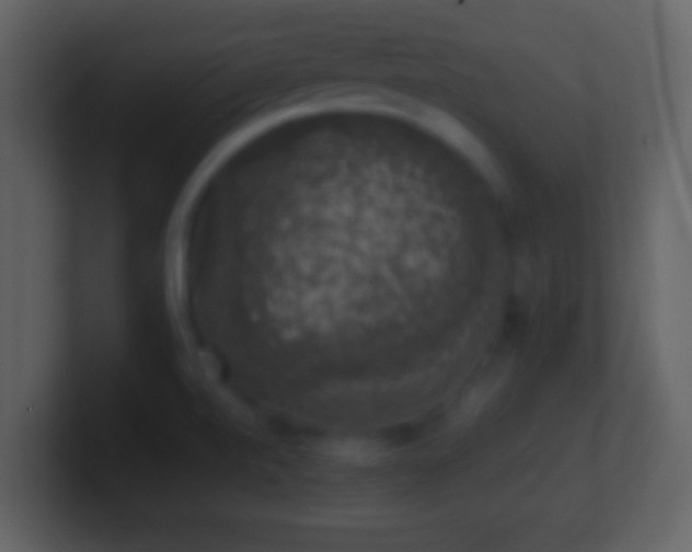 X0000101401520200807071207