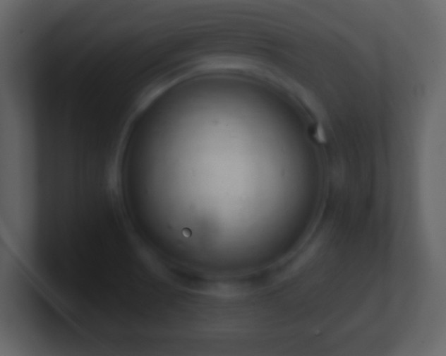 X0000101401521200807071208