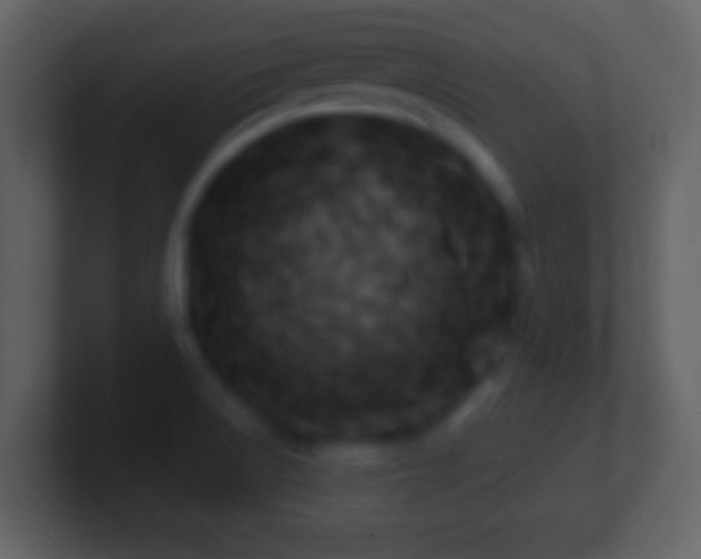X0000101401522200807071208