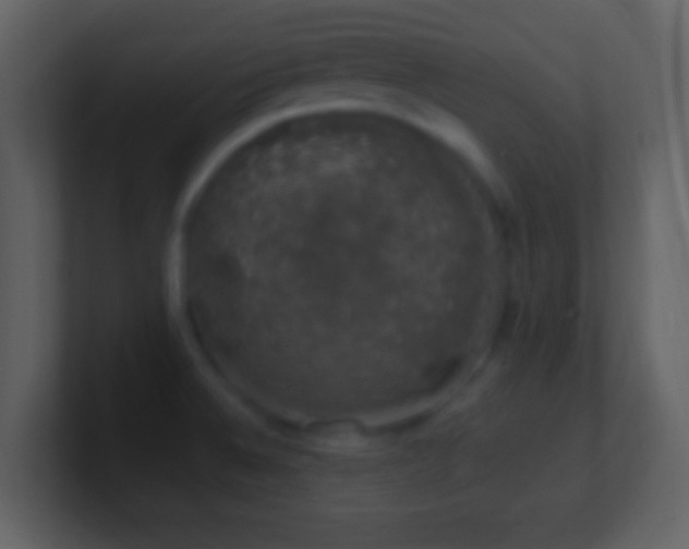 X0000101401524200807071208