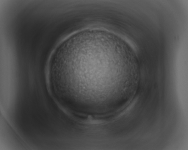 X0000101401525200807071208