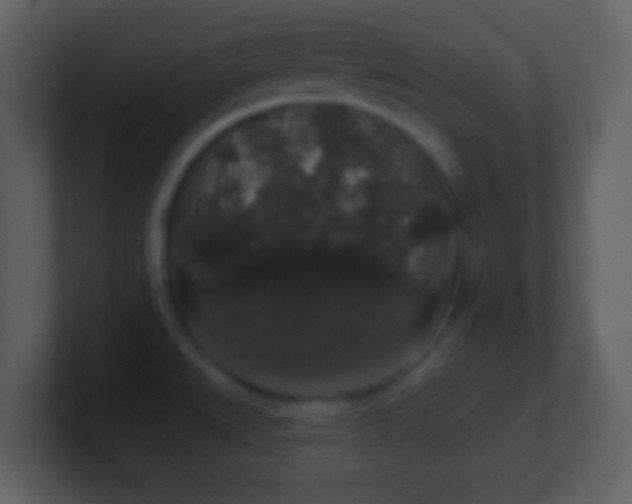 X0000101401527200807071208