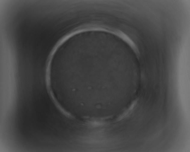 X0000101401528200807071208