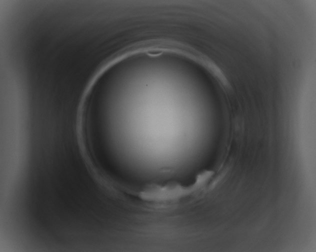 X0000101401530200807071208