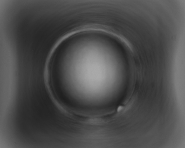 X0000101401531200807071208