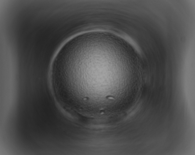 X0000101401532200807071208