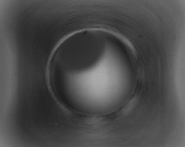 X0000101401533200807071208