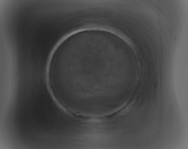 X0000101401536200807071208