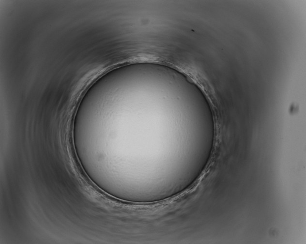 X0000101400001200807141208