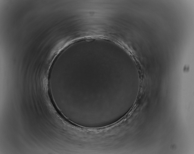 X0000101400002200807141208