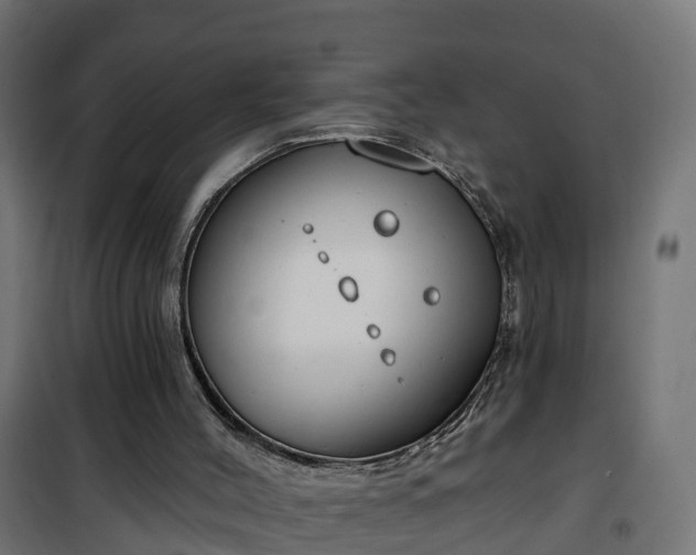 X0000101400004200807141208