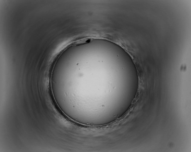 X0000101400005200807141208