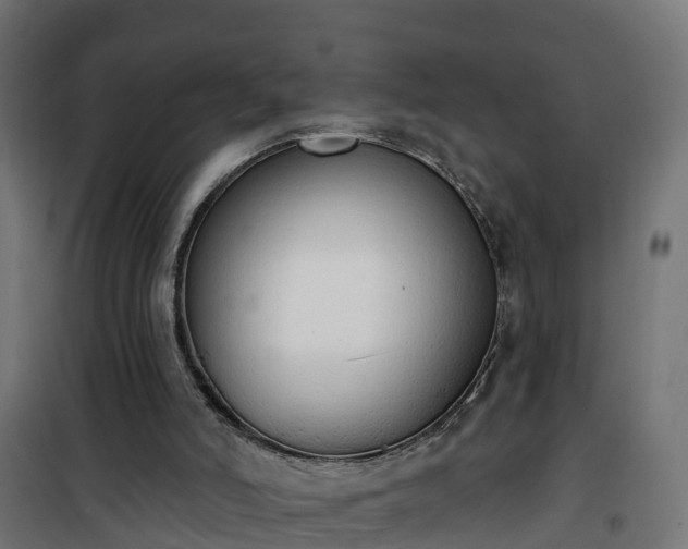 X0000101400006200807141208