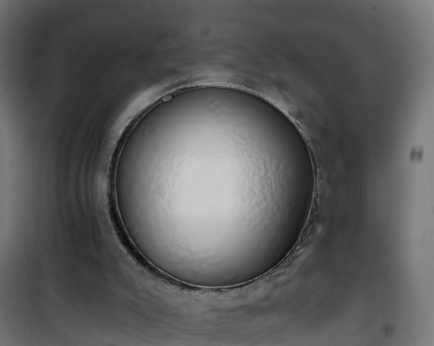 X0000101400007200807141208