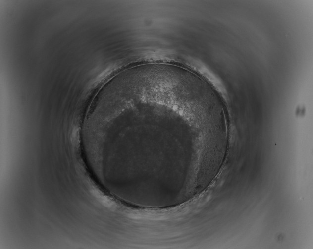 X0000101400009200807141208