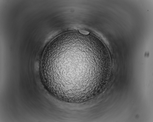 X0000101400010200807141208