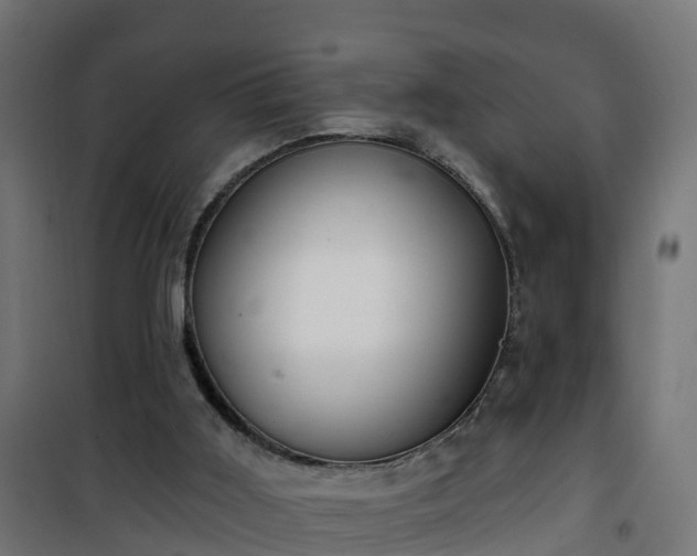 X0000101400011200807141208